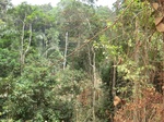 47160CIMG3497.JPG