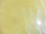 58469CIMG2919.JPG