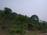 3773RIMG0077.JPG
