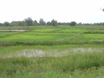 33424RIMG0164.JPG