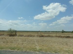 35721DSC02225.JPG
