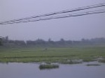 1169R0015034_small.jpg