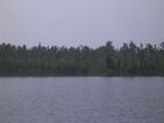 1387R0015143_small.jpg