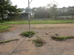 45906CIMG0195.JPG