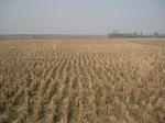 8436IMG_0261.JPG