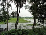 21733DSC00276.JPG
