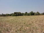 26647DSC00558.JPG