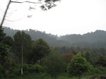 15041IMG_3854.JPG