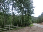 38212CIMG1500.JPG