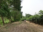 50571CIMG1200.JPG