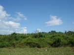 32534p187-3.jpg