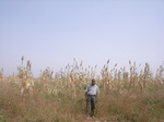 9058RIMG0136.JPG
