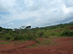 19737P1010586.JPG