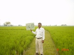 11372gt168-cropland-1.jpg