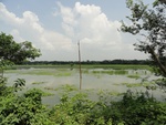 24550DSC00752.JPG