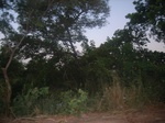 9022RIMG0099.JPG