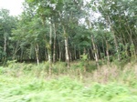 20477P1020334.JPG