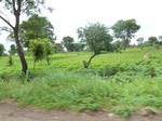 21003P1020873.JPG
