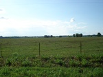 32547p199.jpg