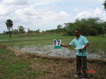 6297057c-irrigated-surfacewater-canal-largescale-rice-dominant-doublecrop.jpg