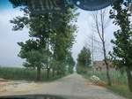 32620CIMG1739.JPG