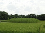 22123DSC00365.JPG