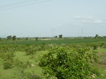 18877P1000719.JPG