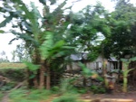 31725CIMG1593.JPG