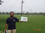75870360b-irrigated-canal-rice-doublecrop-tripplecrop-greengram-blackgram.jpg