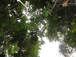 46773DSC02111.JPG