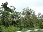 20002P1010852.JPG