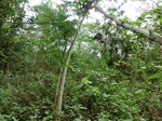 46051CIMG0340.JPG