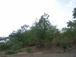 4031RIMG0335.JPG