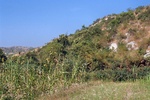 43652pic1.jpg