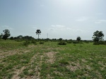 19294P1010140.JPG