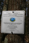 359IMG_3468.JPG