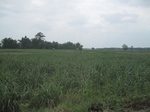 34442IMG_5425.JPG