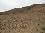 37069CIMG0866.JPG