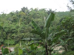 15333IMG_4173.JPG