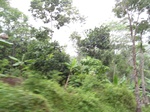 14745IMG_5137.JPG
