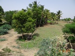 52162Tank ID 1800105 Bugadur 2.JPG