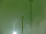 58383CIMG2832.JPG