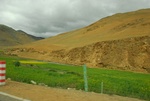 27516DSC_7823.JPG