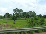 20824P1020684.JPG