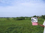 836367-cropland-rice-faalllow-a.jpg