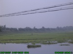1170R0015034_tag.jpg