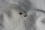 346IMG_3455.JPG