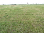 54036NRMN20120504GPS.JPG