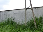 46614CIMG0903.JPG