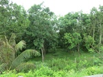 34824CIMG1481.JPG